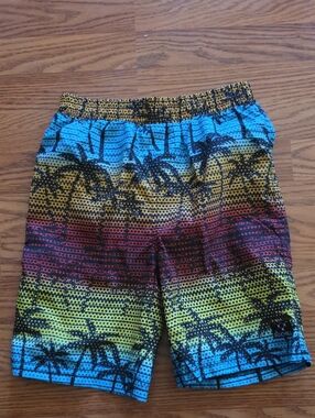 Big Chill Blue Yellow Red Palm Print Boys Swim Trunks